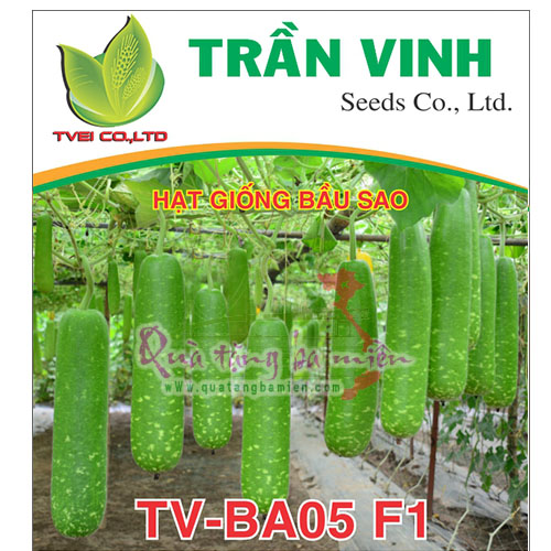 Hạt giống Bầu sao Thái Lan (TV-BAO5 F1) - 10Gr