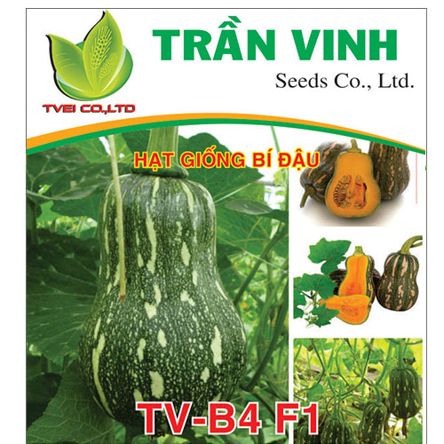 Hạt giống Bí đậu Đài Loan (TV-B4 F1) - 10Gr