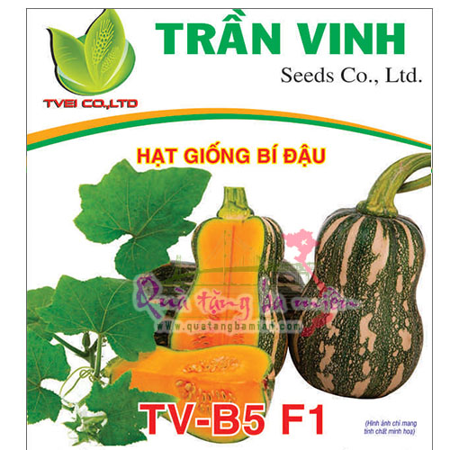 Hạt giống Bí đậu Nhật Bản (TV-B5 F1) - 10Gr