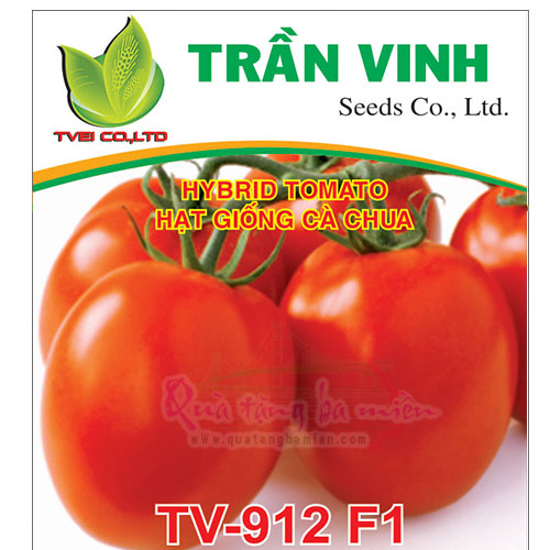 Hạt giống Cà chua Đài Loan (TV-912 F1) - 5Gr