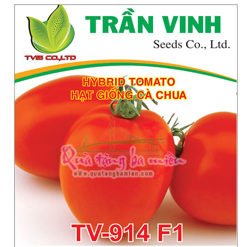 Hạt giống Cà chua Đài Loan (TV-914 F1) - 5Gr