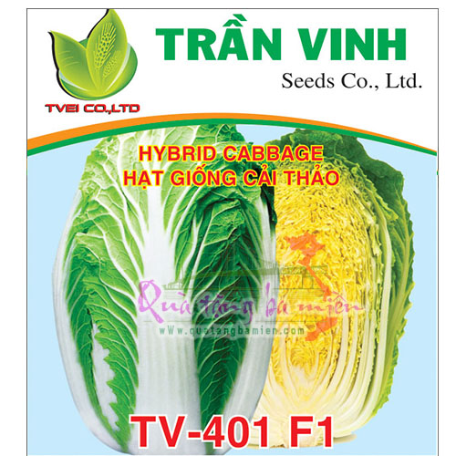 Hạt giống Cải thảo Hàn Quốc (TV-401 F1) - 10Gr