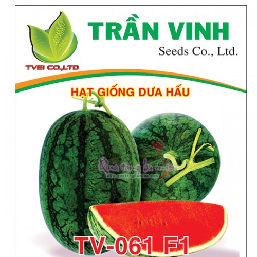 Hạt giống Dưa hấu Thái Lan (TV-061 F1) - 20Gr