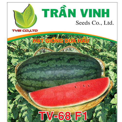 Hạt giống Dưa hấu Thái Lan (TV-68 F1) - 20Gr