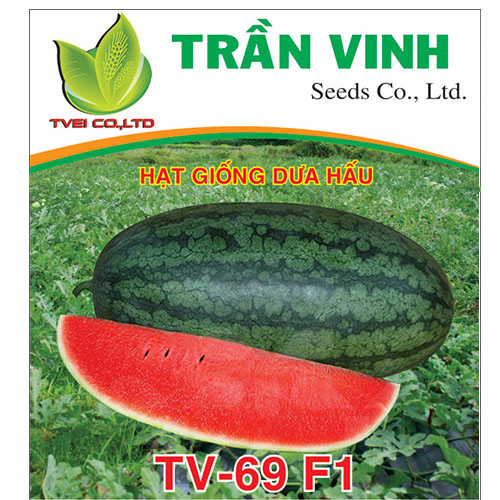 Hạt giống Dưa hấu Thái Lan (TV-69 F1) - 20Gr