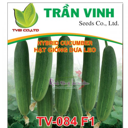 Hạt giống Dưa leo Thái Lan (TV-084 F1) - 10Gr
