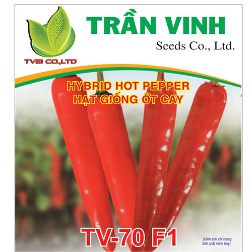 Hạt giống Ớt cay Hàn Quốc (TV-70 F1) - 5Gr