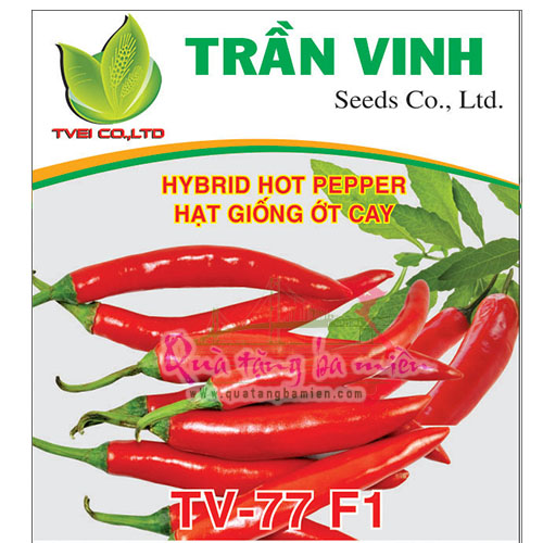 Hạt giống Ớt cay Thái Lan (TV-77 F1) - 5Gr