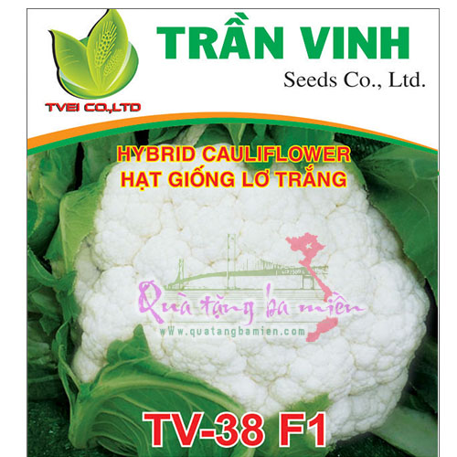 Hạt giống Lơ trắng Đài Loan (TV-38 F1) - 2Gr