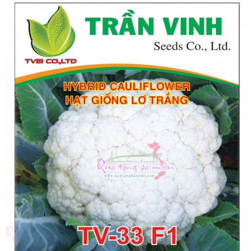 Hạt giống Lơ trắng Thái Lan (TV-33 F1) - 2Gr