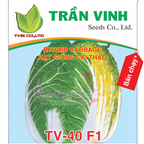 Hạt giống Cải thảo Nhật Bản (TV-40 F1) - 10Gr