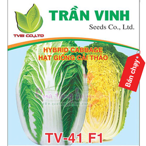 Hạt giống Cải thảo Hàn Quốc (TV-41 F1) - 10Gr