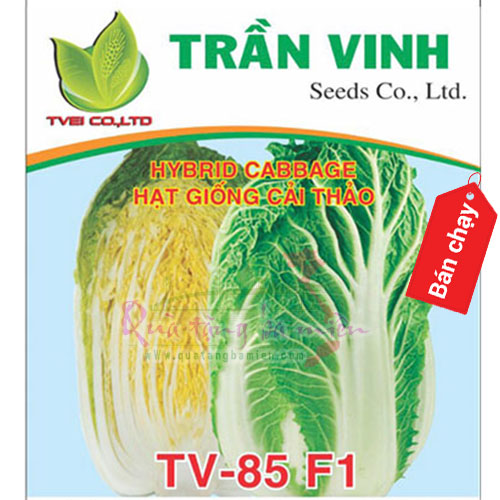 Hạt giống Cải thảo Nhật Bản (TV-85 F1) - 10Gr