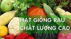 Hạt giống cây trồng F1