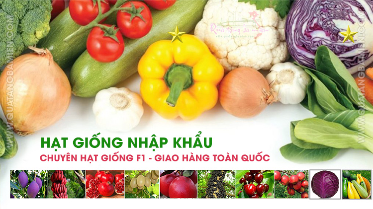 Siêu thị Hạt giống cây trồng