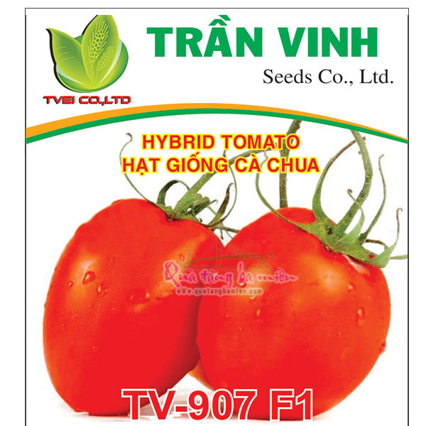 Hạt giống Cà Chua Hàn Quốc