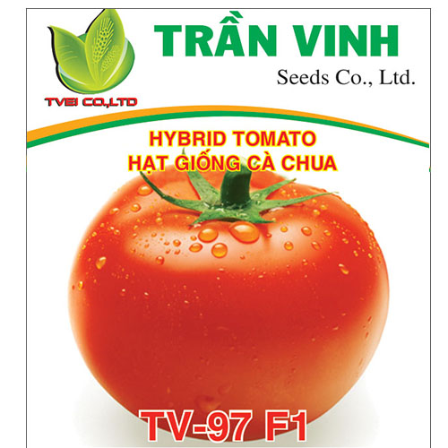 Hạt giống Cà Chua Hàn Quốc