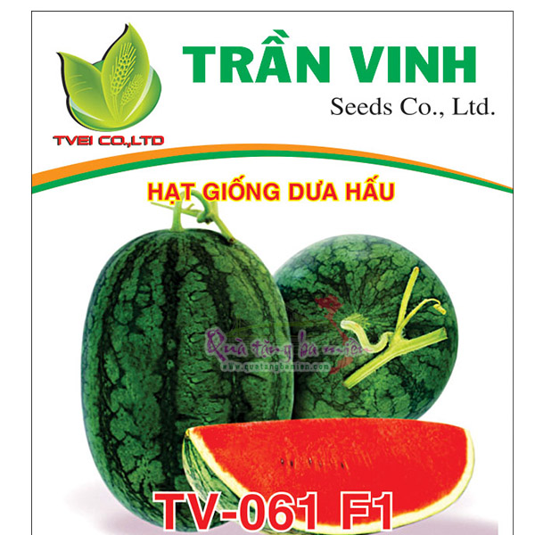 Hạt giống Dưa hấu Thái Lan