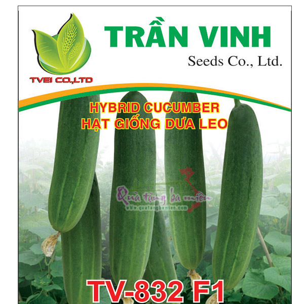 Hạt giống Dưa leo Đài Loan