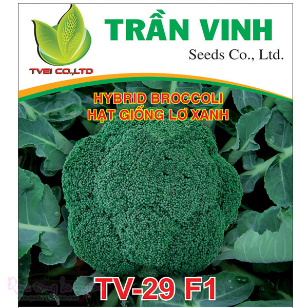 Hạt giống Lơ xanh Hàn Quốc